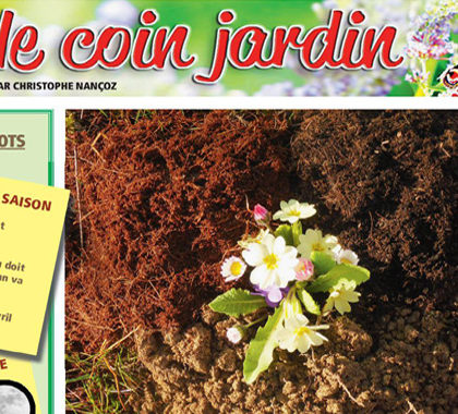 Le coin jardin: la terre