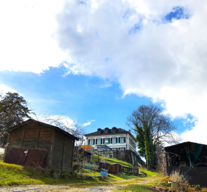 C’est le printemps dans la région !