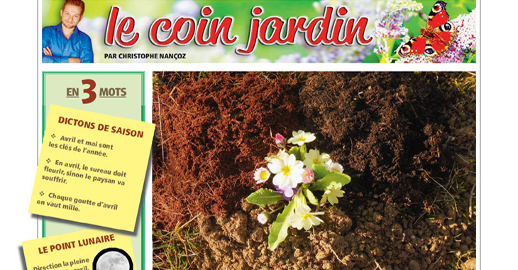 Le coin jardin: la terre