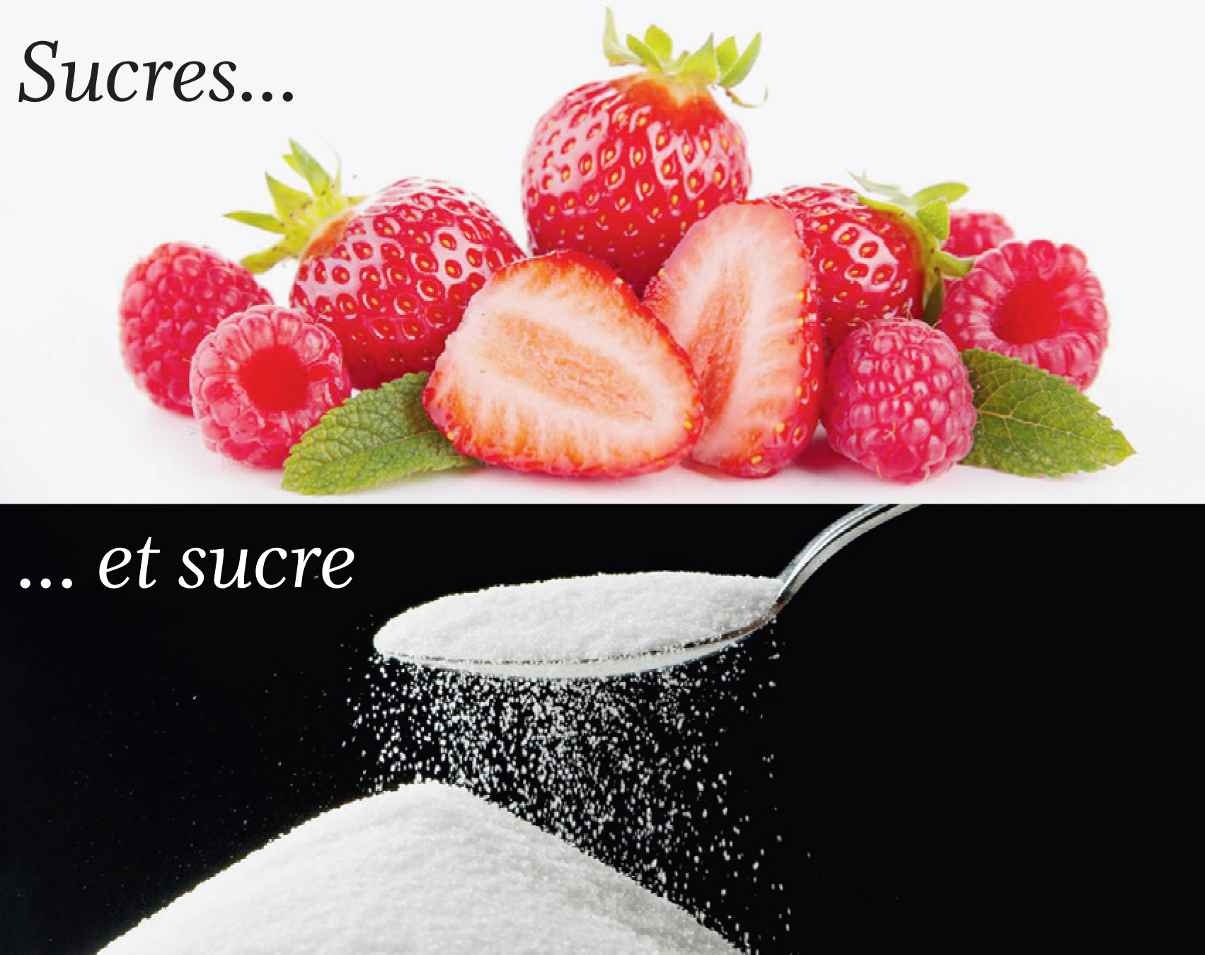 Sucres… et sucre – A votre bonne santé par Camille Despland