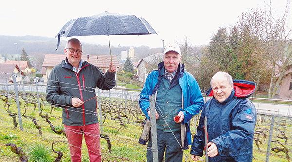 Pompaples – Traitement de la vigne