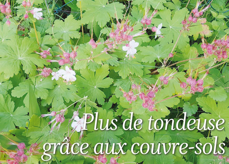 Le coin jardin