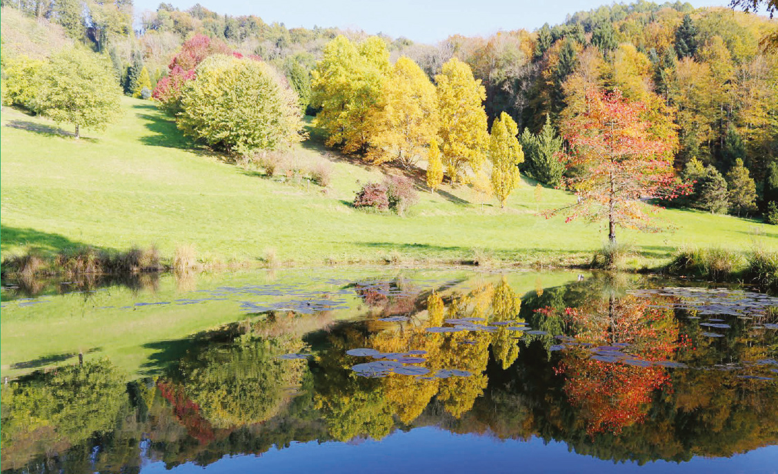 Aubonne – Course populaire de l’Arboretum le 6 octobre