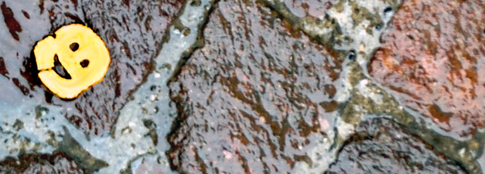 Champ de Batoille – la chronique de Magali Charlet