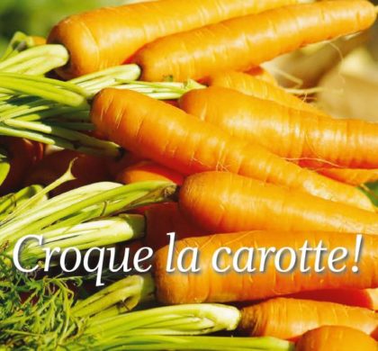 Le coin jardin. Croque la carotte !