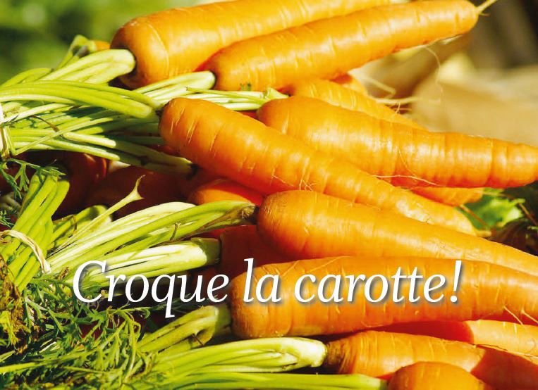 Le coin jardin. Croque la carotte !