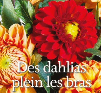 Le coin jardin