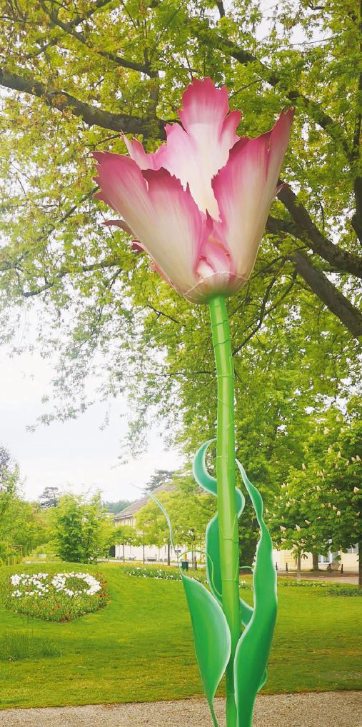 Morges – Fête de la Tulipe, Bulbes en vente