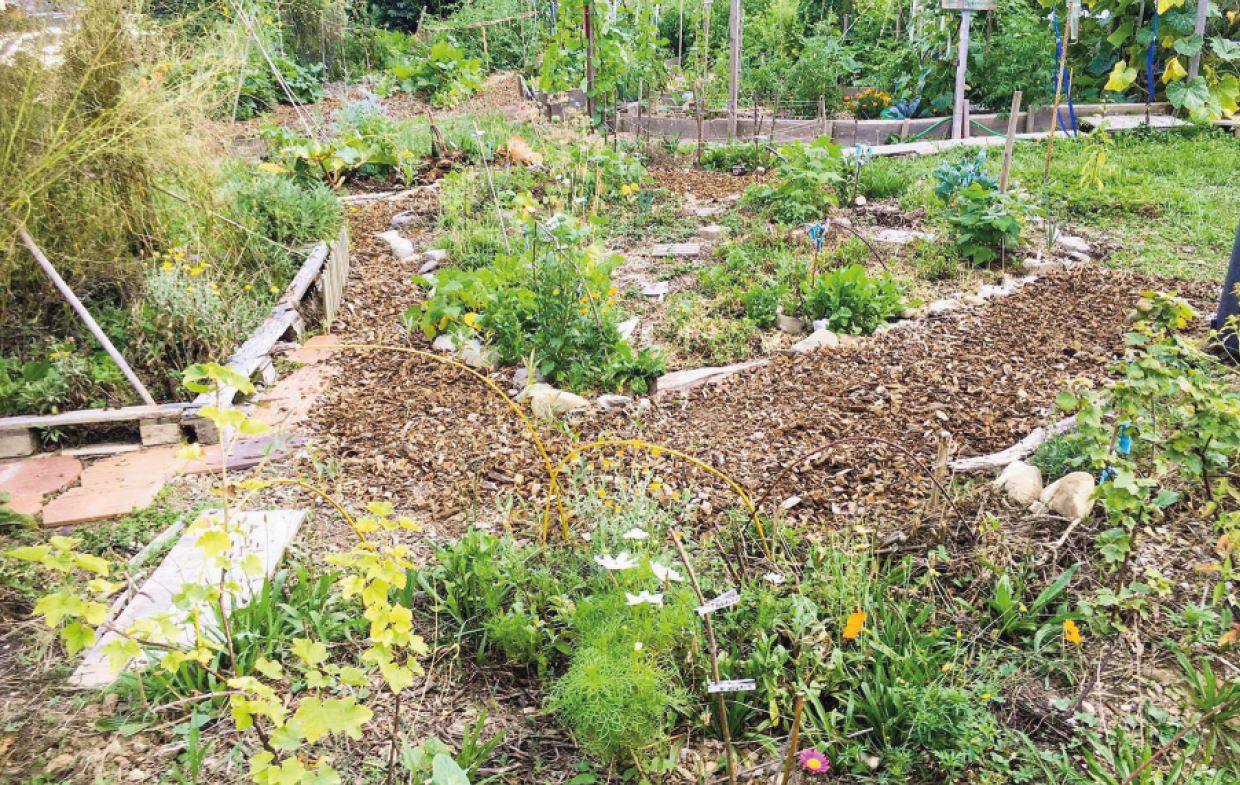 Cossonay, jardin associatif en permaculture