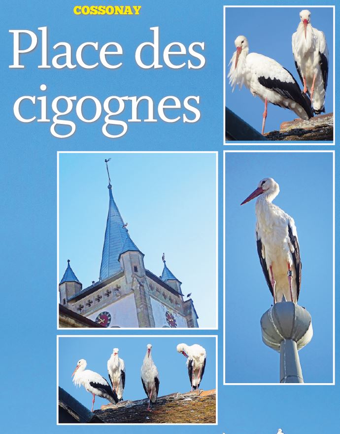 Cossonay, Place des cigognes