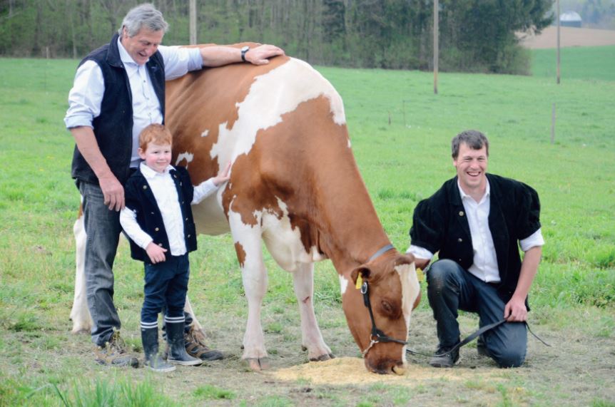 Pampigny, une famille d’éleveurs fête une famille de laitières