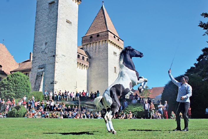 La Sarraz, Fête du Cheval sous un soleil radieux