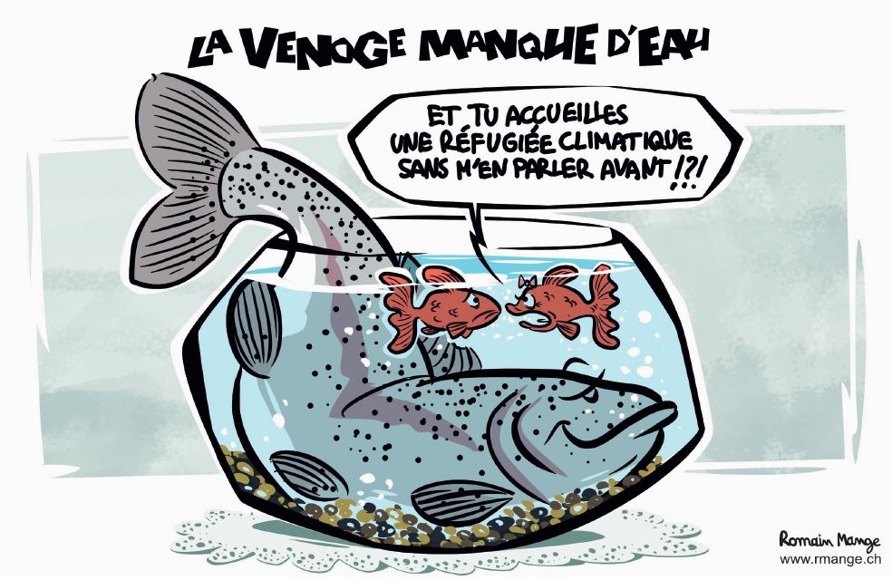 Le dessin de presse de la semaine