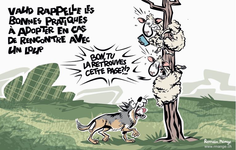 Le dessin de presse de la semaine