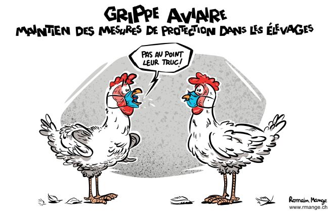 Le dessin de presse de la semaine