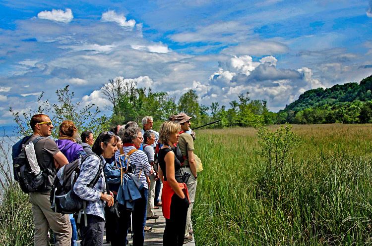 Balades – Programme 2023 des excursions guidées avec Pro Natura Vaud