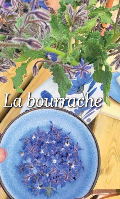 Le coin jardin