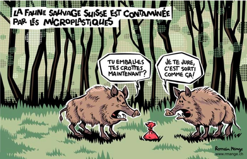Le dessin de presse de la semaine