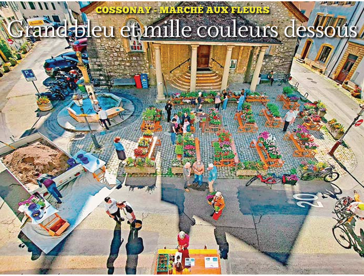 Cossonay – Marché aux fleurs